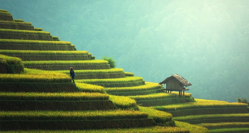 Sustainable designs